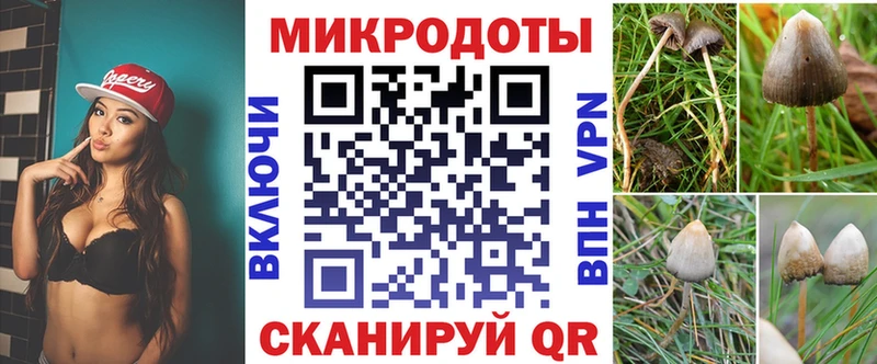 Псилоцибиновые грибы прущие грибы  Сланцы 